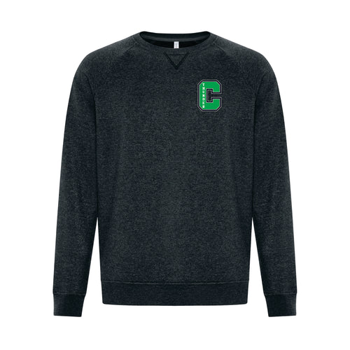 UNISEX VINTAGE CREWNECK SWEATSHIRT - F2046 - CLARESHOLM THUNDER - EMB