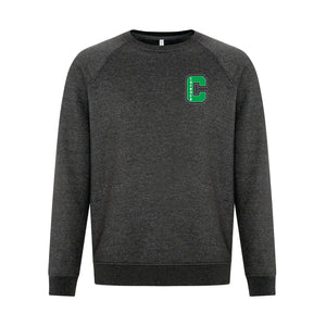 UNISEX VINTAGE CREWNECK SWEATSHIRT - F2046 - CLARESHOLM THUNDER - EMB