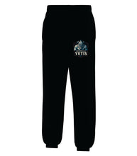 Load image into Gallery viewer, UNISEX EVERYDAY FLEECE SWEATPANTS - ATCF2800 - FOOTHILLS YETIS - HP
