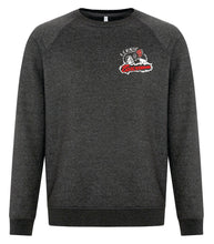 Load image into Gallery viewer, UNISEX VINTAGE CREWNECK SWEATSHIRT - F2046 - FERNIE GHOSTRIDERS - EMB