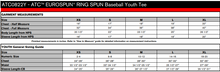 Load image into Gallery viewer, YOUTH BASEBALL TSHIRT - ATC0822Y - CHINOOK WEST BASEBALL - HP