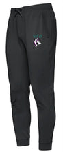 Load image into Gallery viewer, UNISEX GLBOETROTTER PERFORMANCE JOGGER - P00865 - VULCAN SKATING CLUB - HP