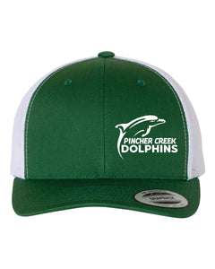 CURVED BRIM HAT 6606 WITH PC DOLPHINS LOGO - EMB
